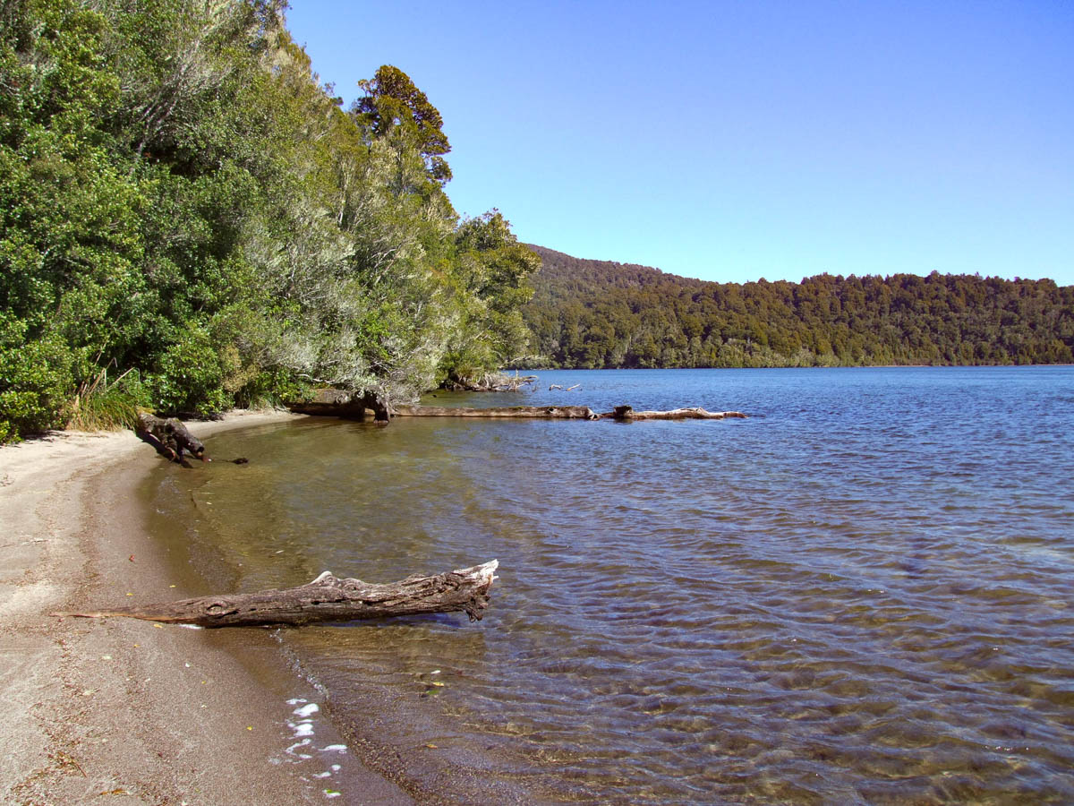 Lake Rotopounamu Walk|||||Lake Rotopounamu Walk