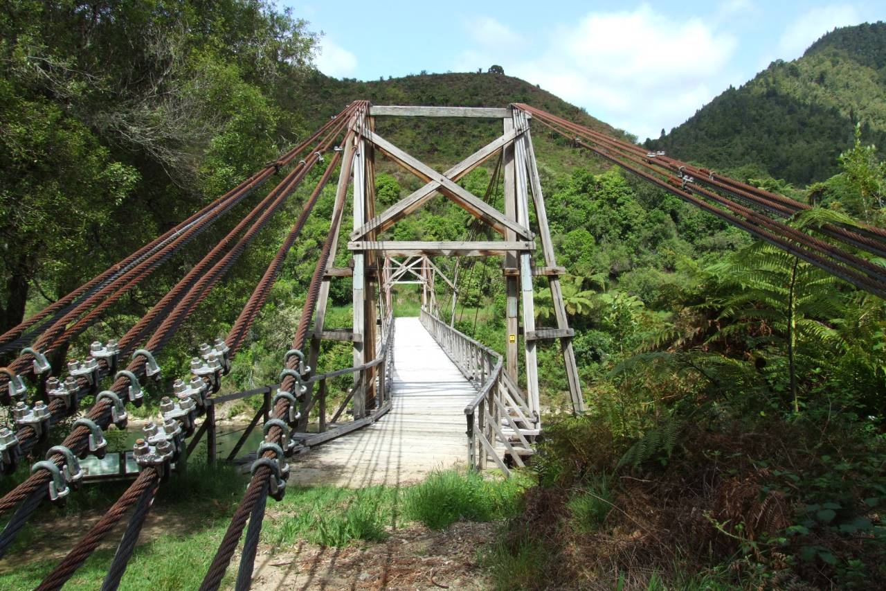 Tauranga Stream suspension Bridge ||||Tauranga Stream Suspension Bridge Loop Walk