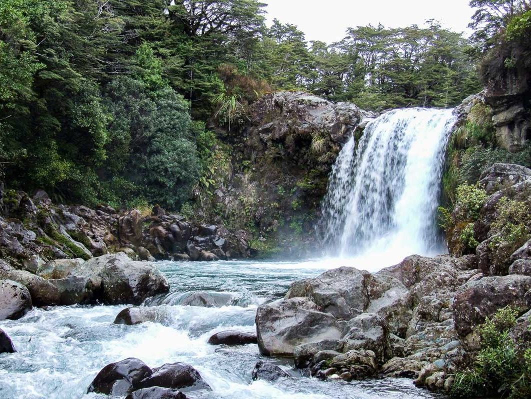 National Park » Tawhai Falls Walk Mt Ruapehu - Copyright Freewalks.nz