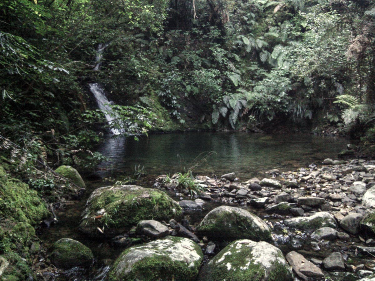 Tricky crossing|||||Mt Te Aroha To Wharawhara Track Walk