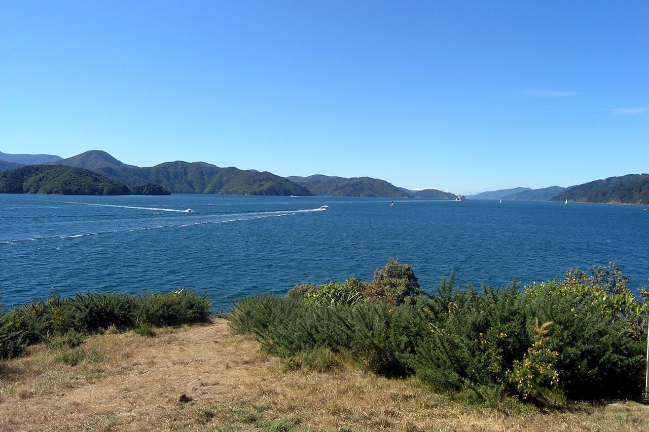 Great views at Snout Track Head in Picton