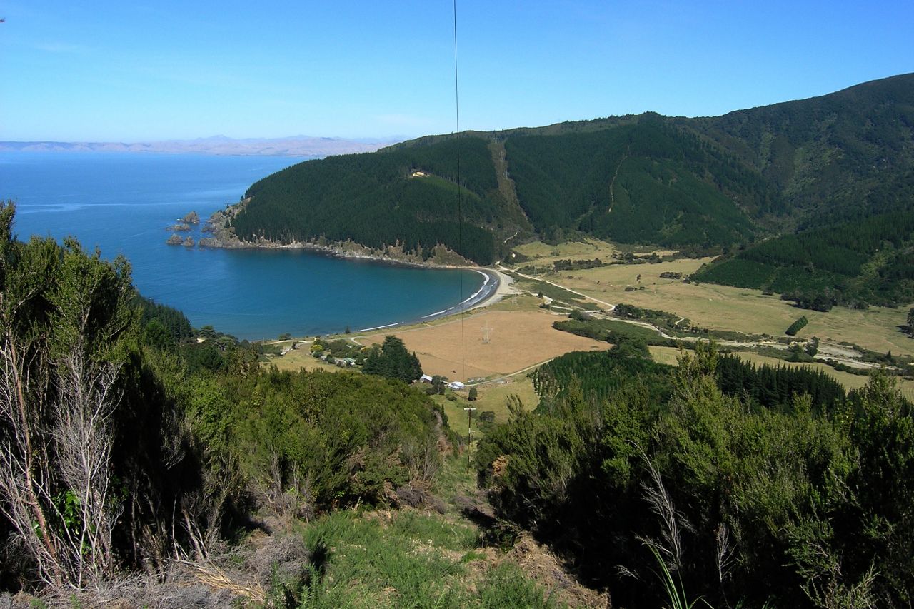 Robin Hood Bay|||||Port Underwood Drive