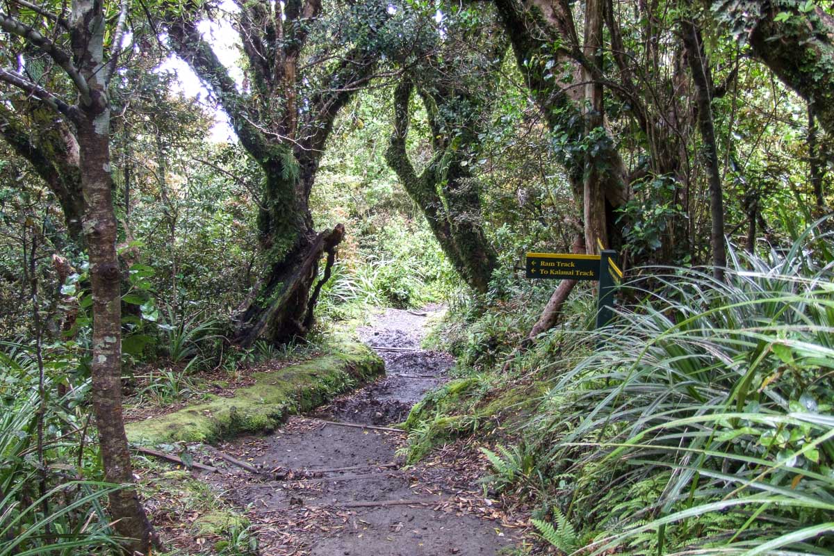 Taranaki Region walks & hiking trails in New Zealand - Copyright Freewalks.nz