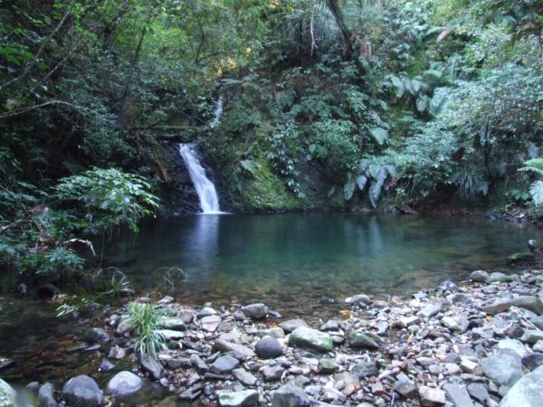 Karangahaka Gorge Walk To Wharawhara Road End||||||||Karangahaka Gorge Walk To Wharawhara Road End