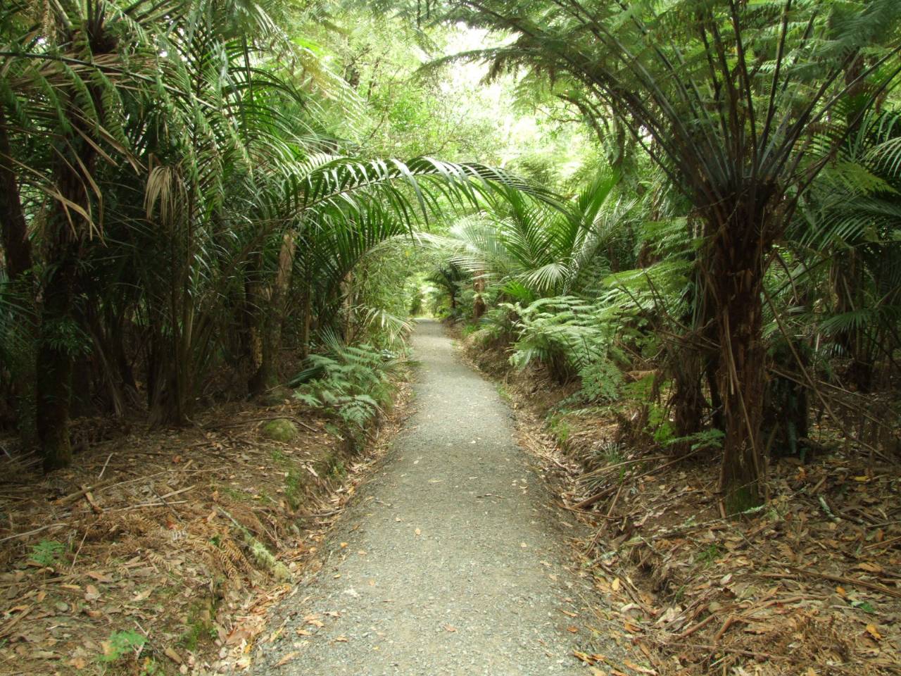 Start of the Wentworth Falls Walk ||||||Wentworth Valley Falls