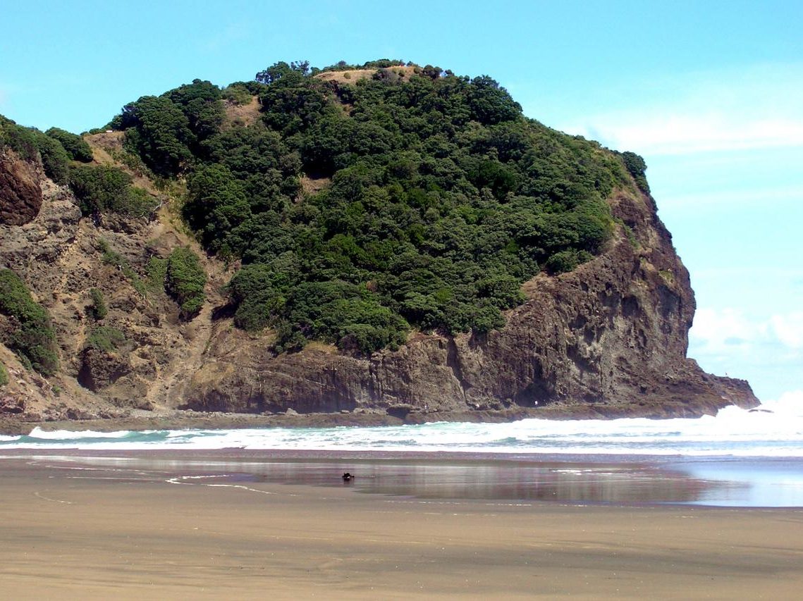 Whites Beach Walk from Piha