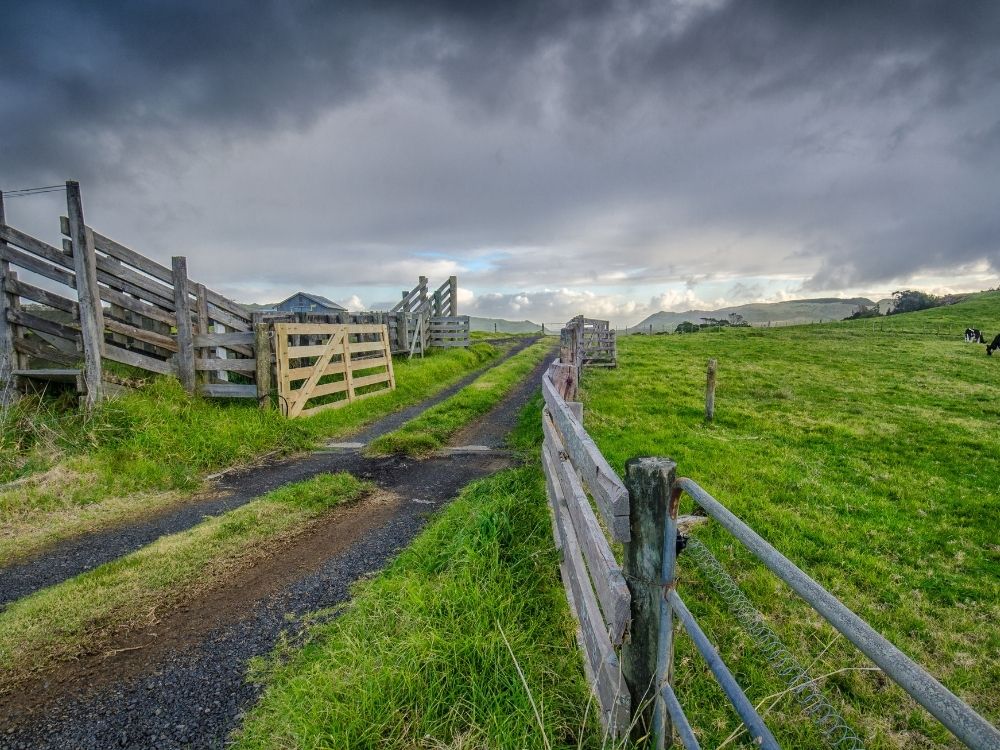 Awhitu Walking & Hiking Guide