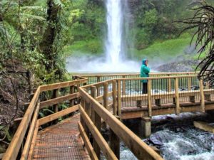 Bridal Falls Raglan