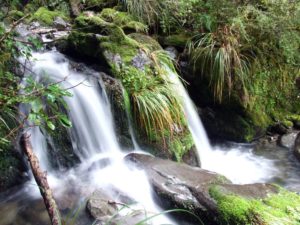 Kaikoura Walks, South Island, New Zealand, Copyright Freewalks NZ