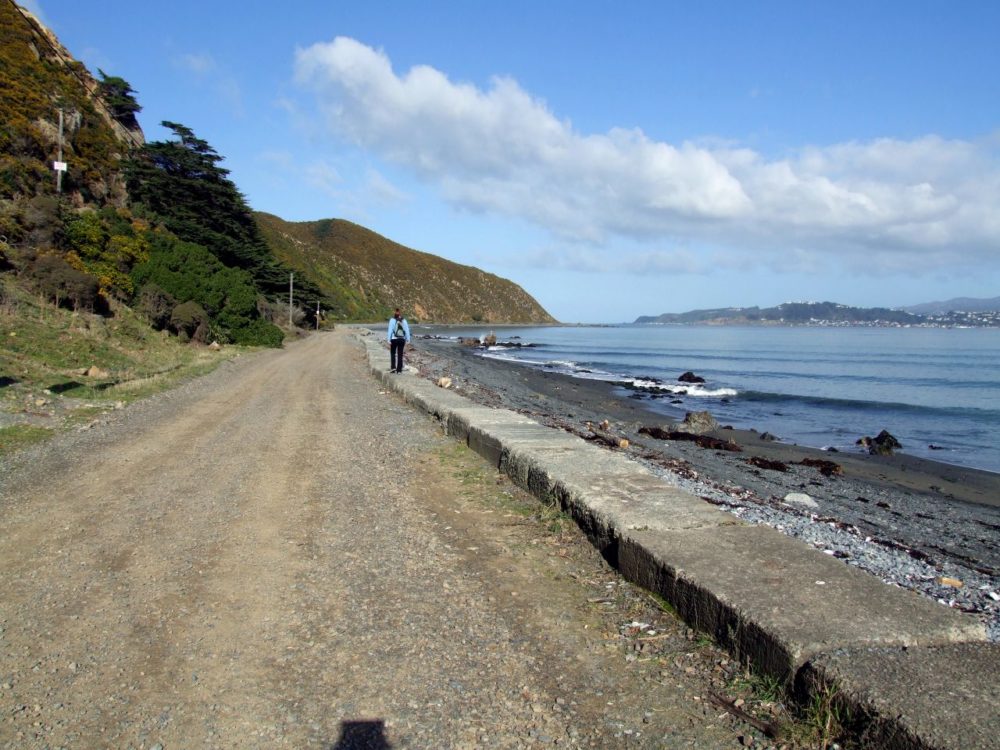 Eastbourne Walks and Hikes - Wellington - Copyright Freewalks.nz - Pencarrow Walk