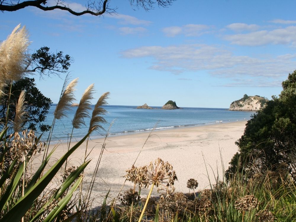 Free Hahei Walking & Hiking Guide - Waikato Region - New Zealand