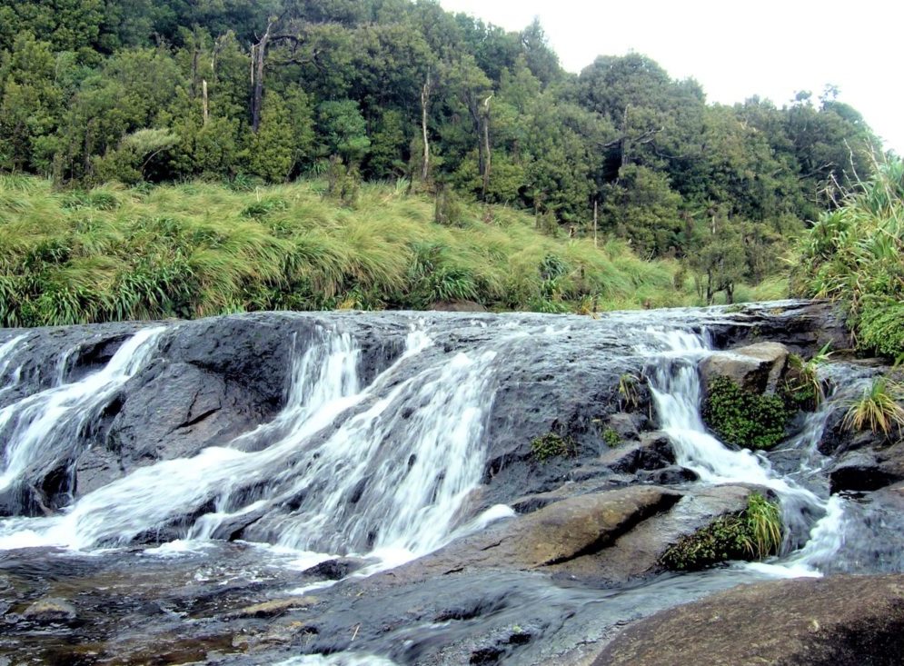 Free Matamata Walking & Hiking Guide - Waikato Region - New Zealand