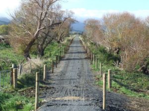 Free Paeroa Walking & Hiking Guide - Waikato Region - New Zealand