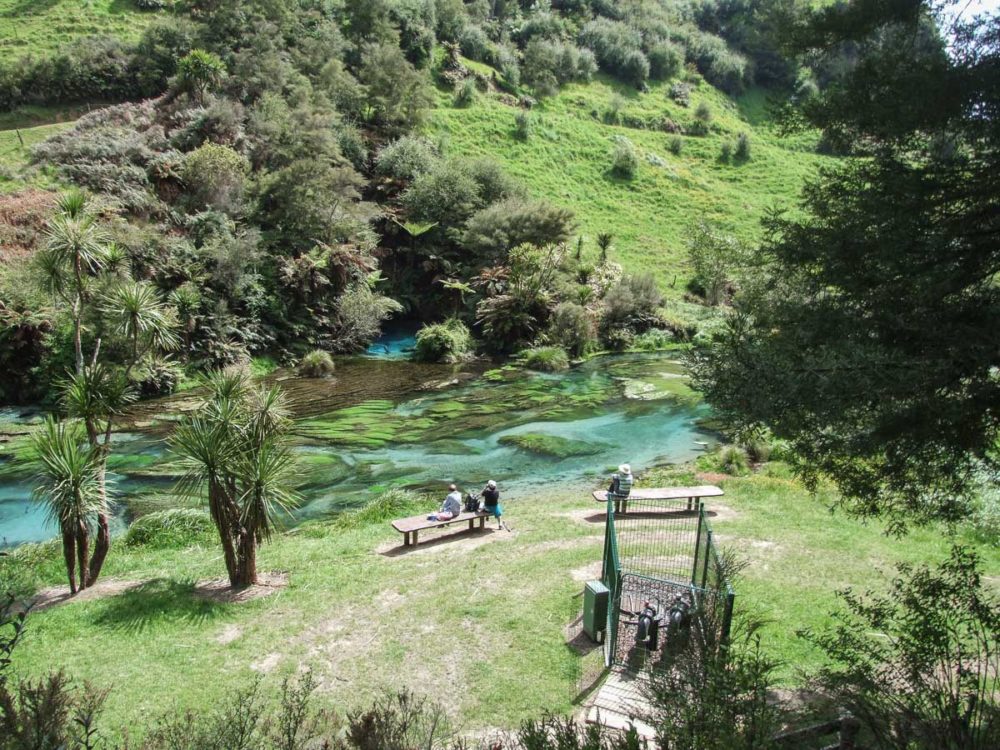 Free Putaruru Walking & Hiking Guide - Waikato Region - New Zealand