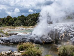 Free Rotorua Walking & Hiking Guide - Bay of Plenty Region - New Zealand