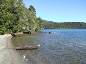 Free Turangi Walking & Hiking Guide - Waikato Region - New Zealand - Lake Rotopounamu - Copyright Freewalks.nz