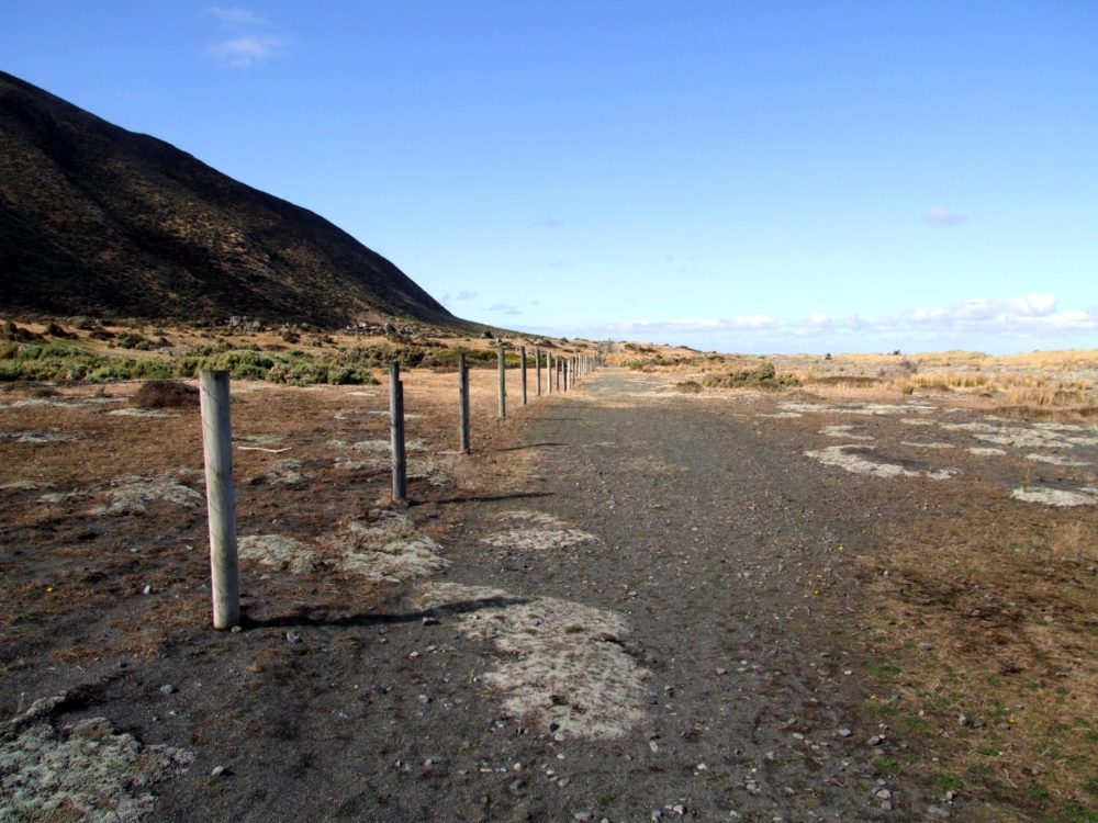 Free Wainuiomata Walking & Hiking Guide - Wellington Region - New Zealand -Turakirae Head Seals Walk