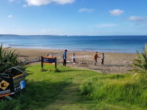 Grannys Bay Beach on the Long Bay Regional Park Coastal Track in Auckland Region