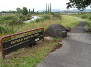 Katikati Hikes and walks in Bay of Plenty, North Island - Copyright Freewalks.nz
