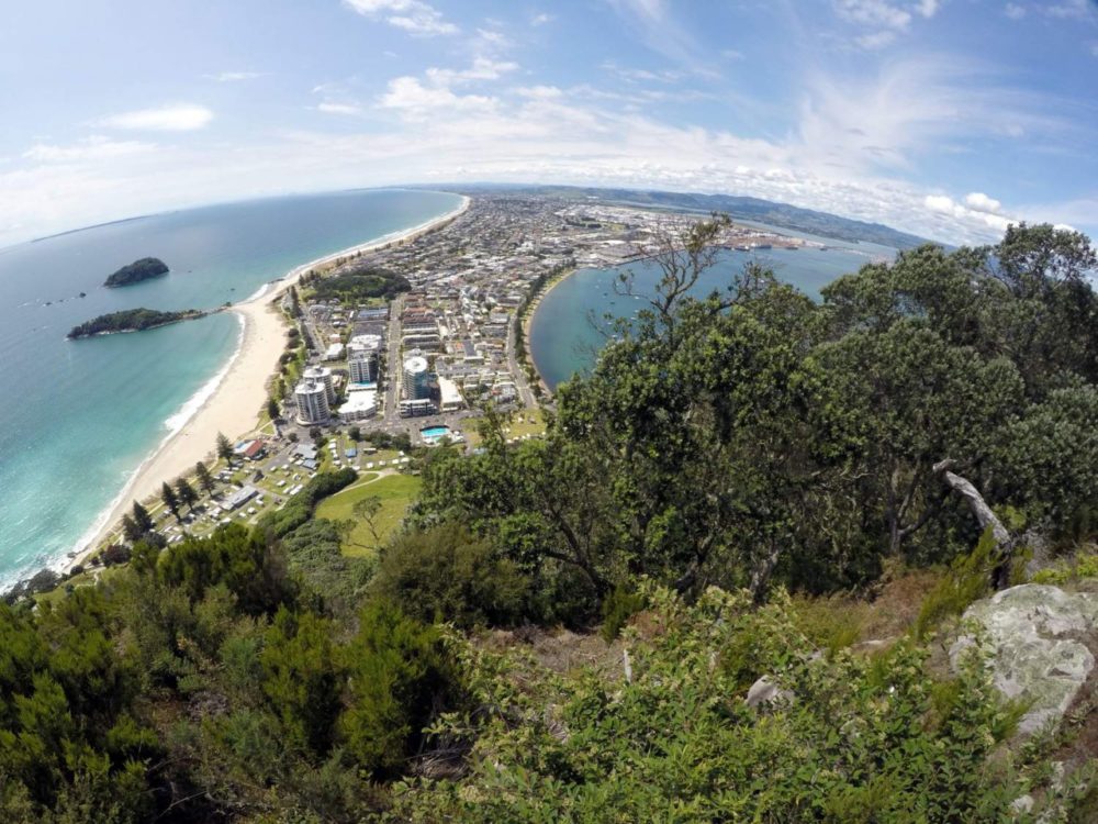 Mt Maunganui Summit walk in Tauranga - View from the top looking over Mt Maunganui beach - Copyright Freewalks.nz