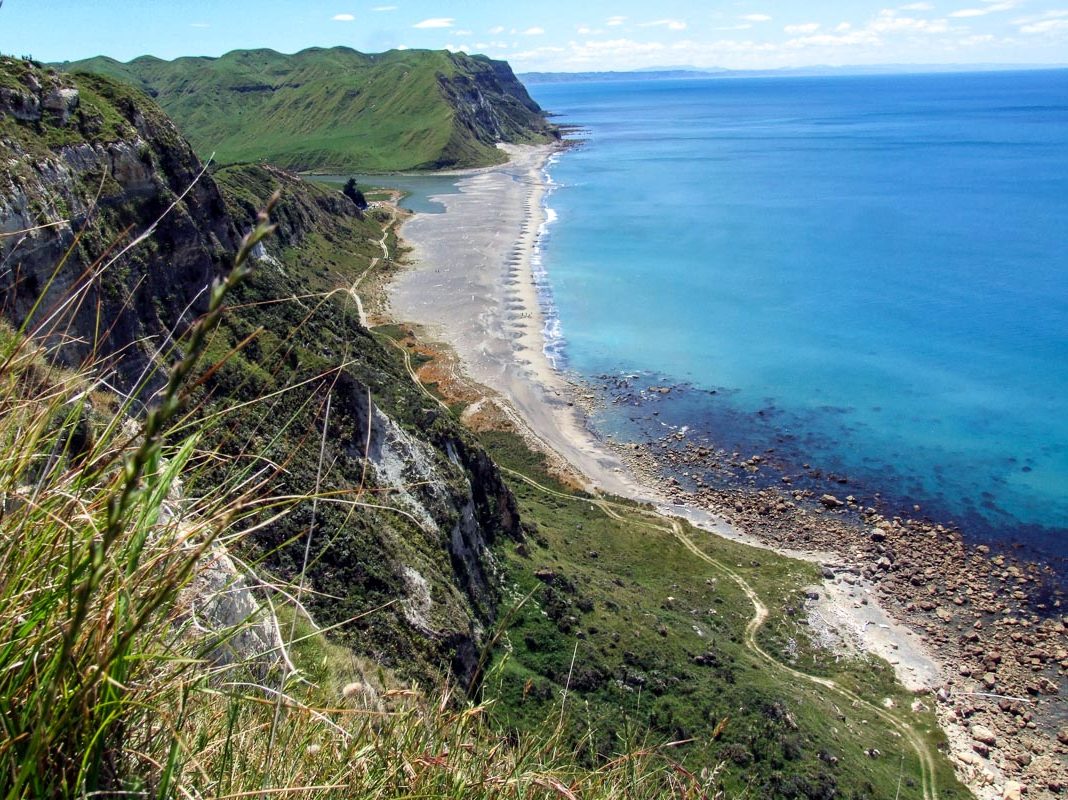Napier walks and hikes, North Island, New Zealand - Copyright Freewalks.nz - Waipatik Beach Walk