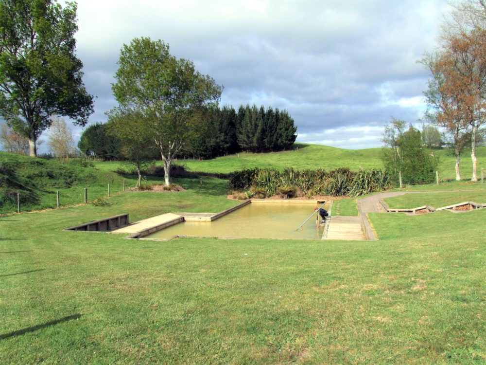 Reporoa Walks - Bay of Plenty Region - New Zealand - Butchers Hot Pool - Copyright Freewalks.nz