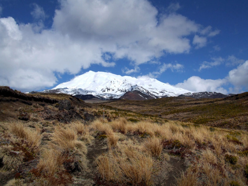 Ruapehu, Tongariro National park - Manawatu Region, North Island - Copyright Freewalks.nz