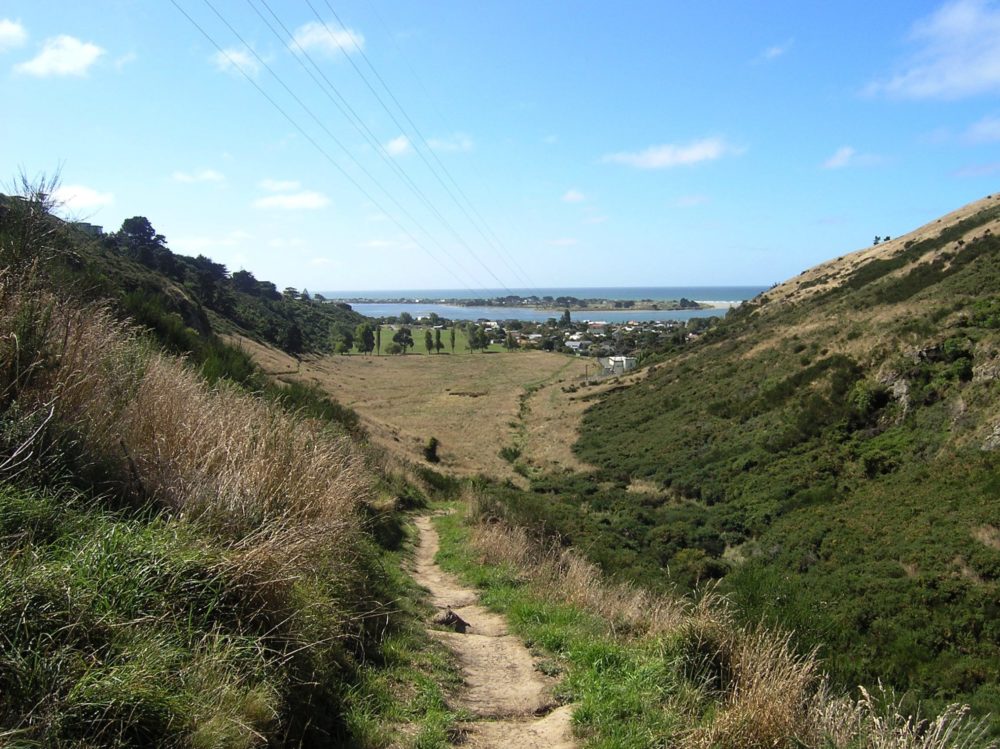 Sumner walks and hiking in Christchurch Canterbury -Copyright Freewalks.nz-Barnet Park