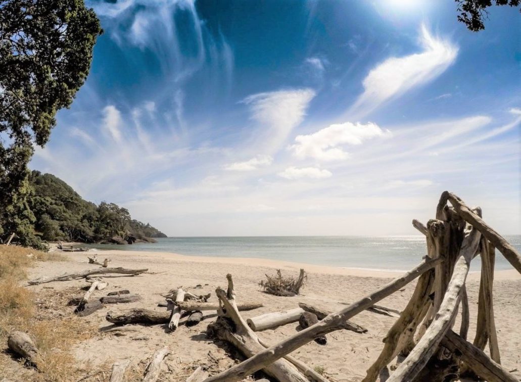 Walks and hikes at Waihi, North Island, New Zealand - Copyright Freewalks.nz-2