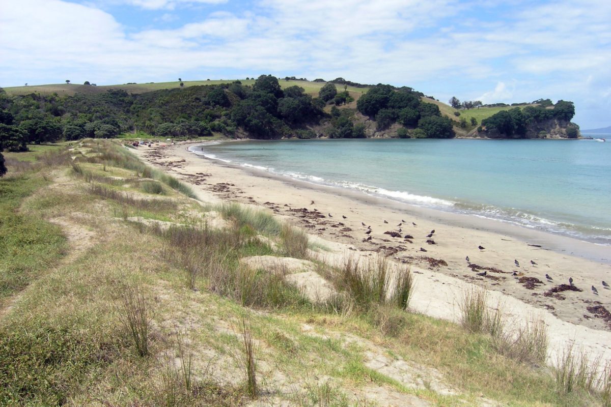 Whangaparaoa Walking & Hiking - Shakespear Regional Park - Auckland - Copyright Freewalks.nz