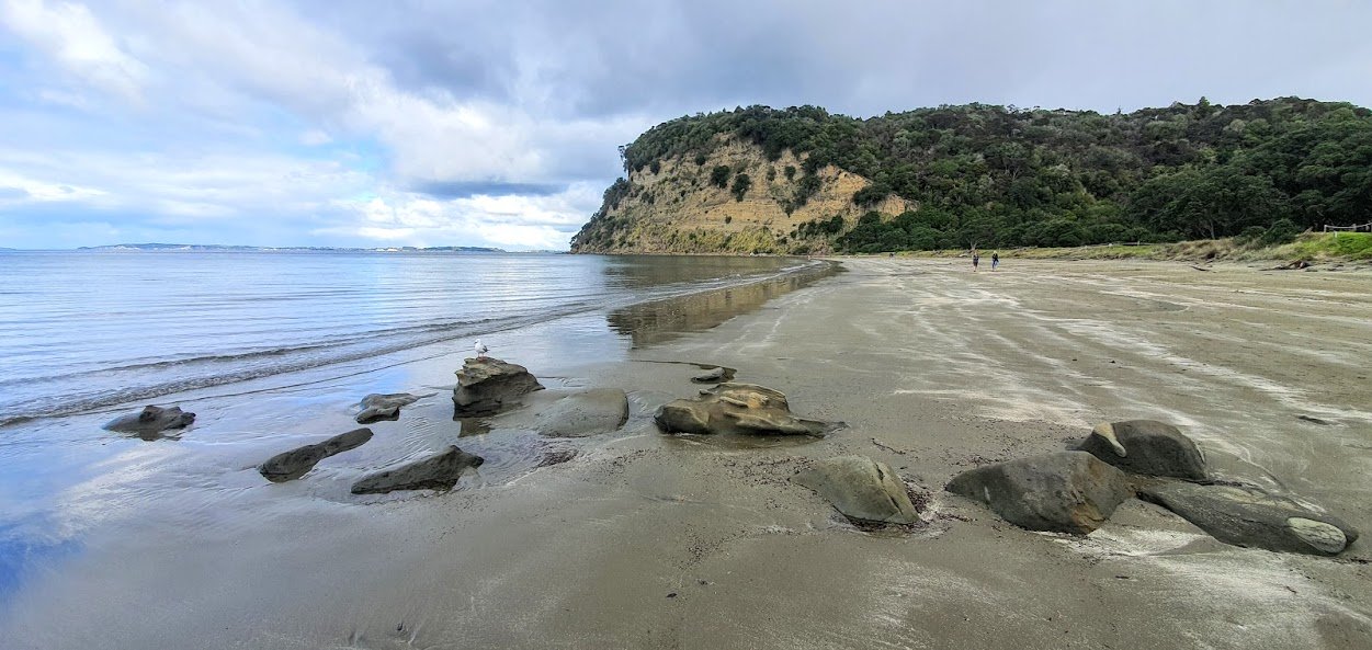 Waiwera Walking & Hiking - Wenderholm Regional Park - Auckland - Copyright Freewalks.nz