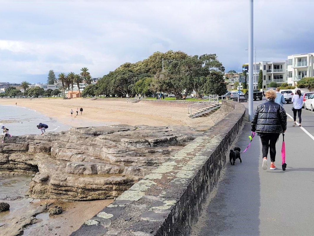 Auckland Walks - View of the beach at St Heliers on my walk from downtown Auckland