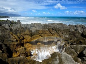 Free Punakaiki Walking & Hiking Guide - West Port - New Zealand