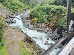 Haast Walks and Hikes - Otago Region - South Island - Copyright Freewalks.nz