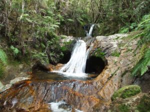 Hikes and walks in Thames, North Island - Copyright Freewalks.nz - View on the Water Race walk