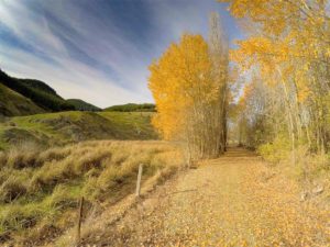 Lawrence Walks, South Island, New Zealand, Autumn on the Clutha Gold Bike Trail - Copyright Freewalks NZ