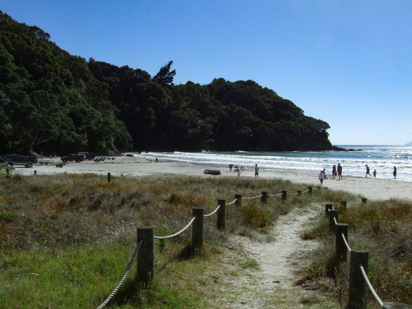 Path down to the beach at Waihi