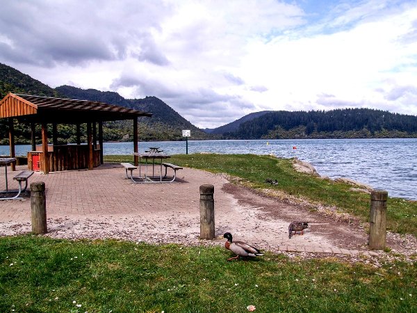 Picnic area at the Blue Lake near Rotorua