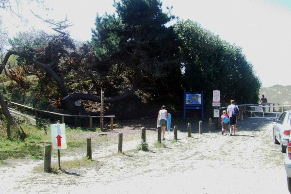 Spencer Park Walk carpark