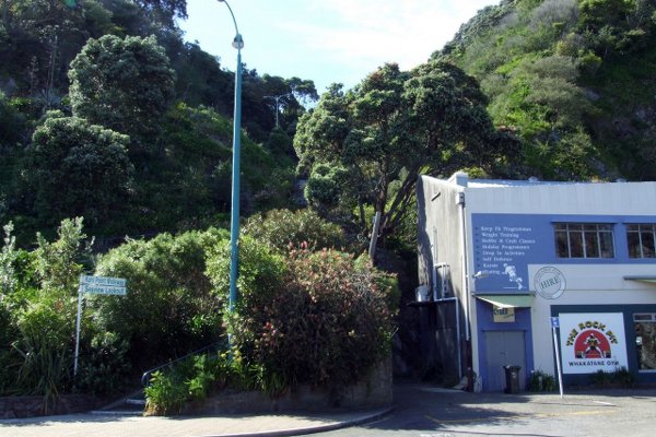 Very beginning of the walk to Kohi Point