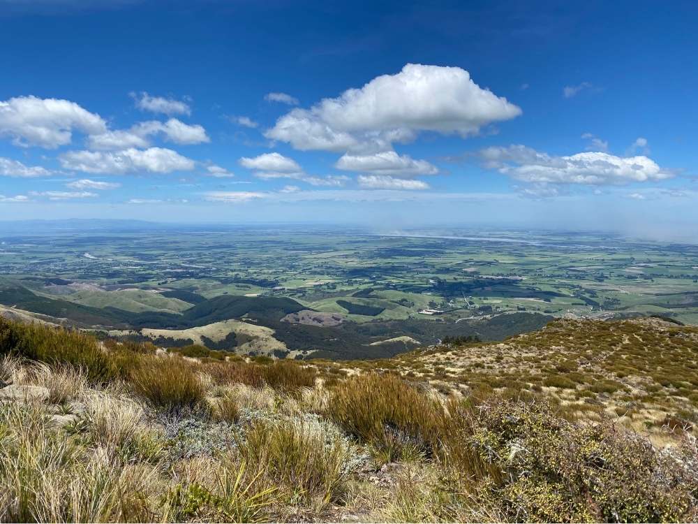 Amazing views out over the valley from Mt Oxford Track Summit walk