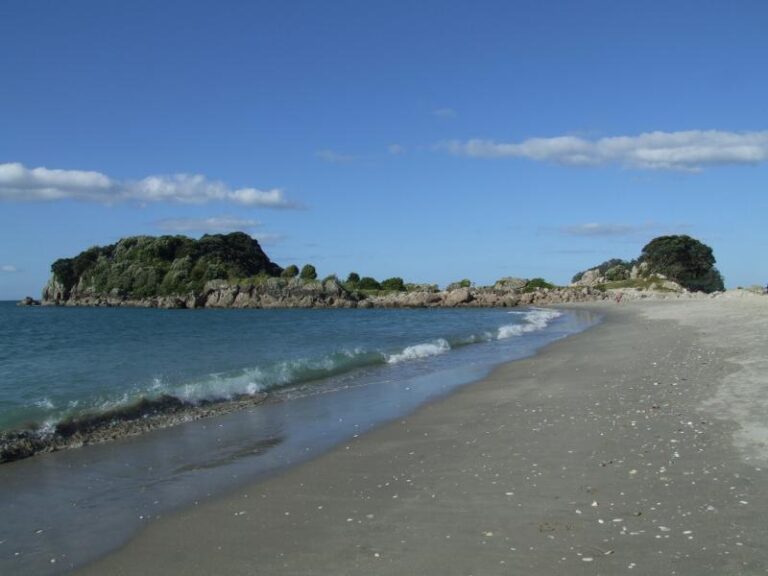 Moturiki Island walk, Mount maunganui walks - Copyright Freewalks.nz (1)