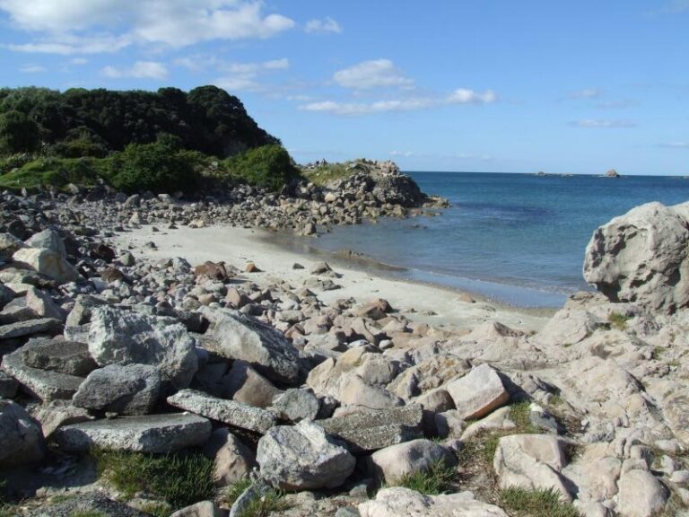 Moturiki Island walk, Mount maunganui walks - Copyright Freewalks.nz (1)