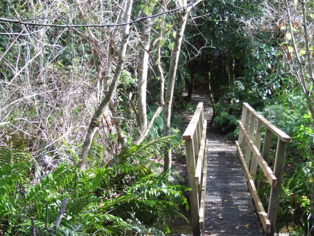 Second walk or ride bridge on the Kawakawa Bay Track walk at Kinloch Beach - Taupo Walk - Freewalks.nz