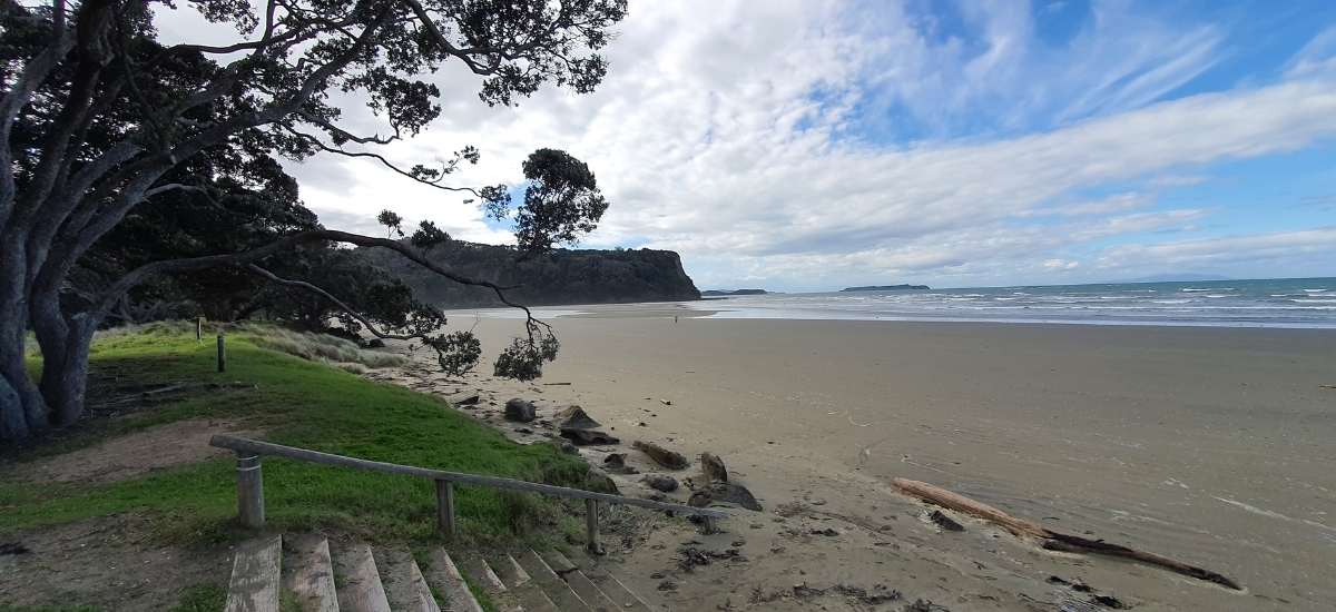 Te Akeake Walk – Wenderholm Regional Park - Short Auckland Walk - Freewalks.nz (1)