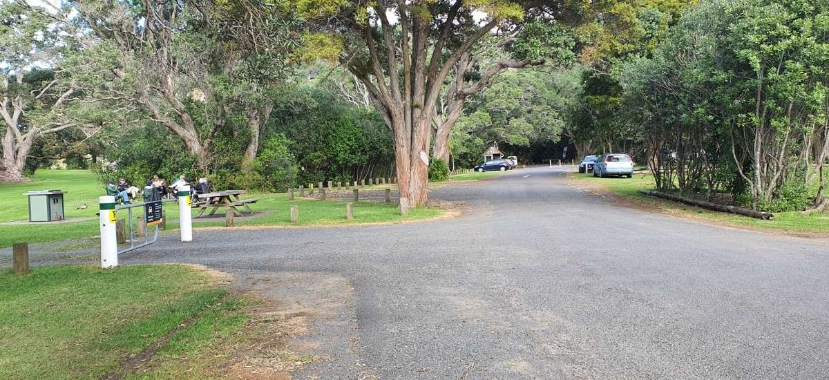 Te Akeake Walk – Wenderholm Regional Park - Short Auckland Walk - Freewalks.nz (1)