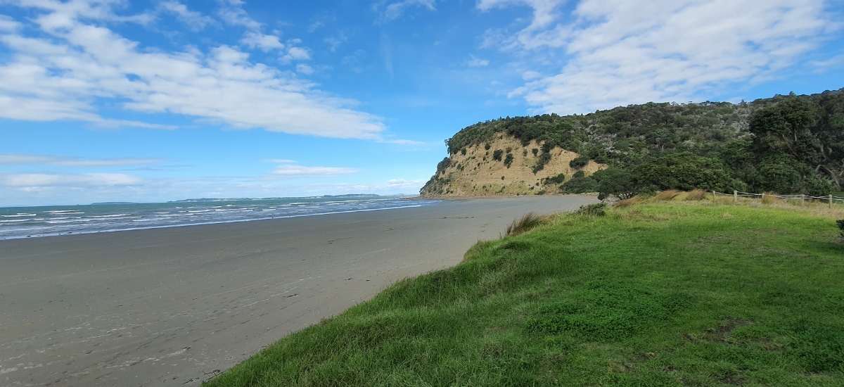 Te Akeake Walk – Wenderholm Regional Park - Short Auckland Walk - Freewalks.nz