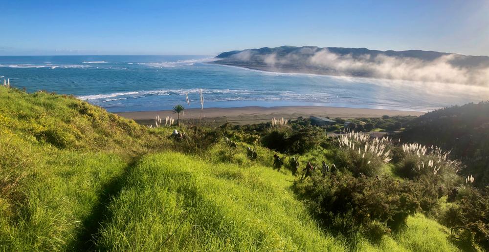 The track between the Reserve and the beach