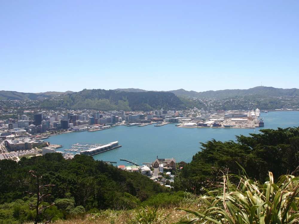 Views at the top of Mt Victoria Lookout Walkway Wellington Walks - Freewalks.nz