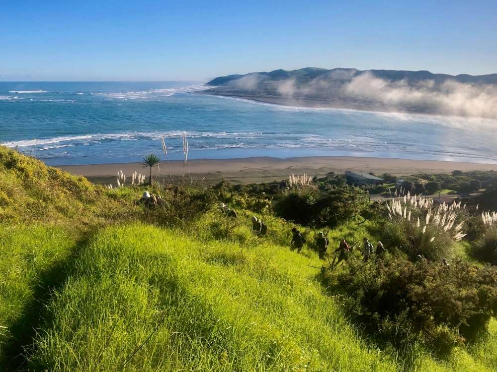 Views of the ocean and black sand beach on the Cliff top to Beach Walk in Raglan